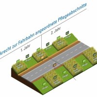 Senkrecht zur Fahrbahn angeordnete Pflegeabschnitte