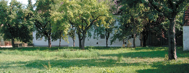 Landwirtschaftlich genutzte hofnahe Wiesenfläche, Balzhausen