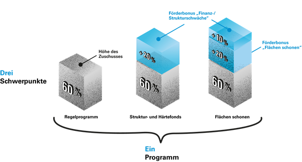 Die Grafik veranschaulicht die drei Schwerpunkte im Bayerischen Städtebauförderungsprogramm. Über die Förderschwerpunkte „Struktur- und Härtefonds“ und „Flächen schonen“ kann die Gemeinde einen Förderbonus von 20 % bzw. 30 % auf die regulären 60 % erhalten.
