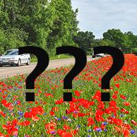 Ein Streifen mit blühenden Blumen. Links davon eine Straße mit Autos, rechts davon ein Radweg. Im Vordergrund drei fette Fragezeichen