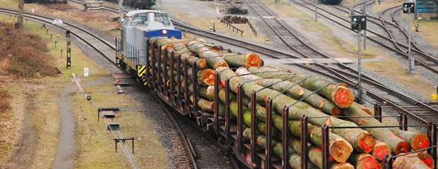 Rangierverkehr mit Holzfracht auf einem Privatgelände 